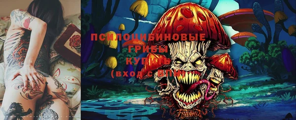спиды Арсеньев