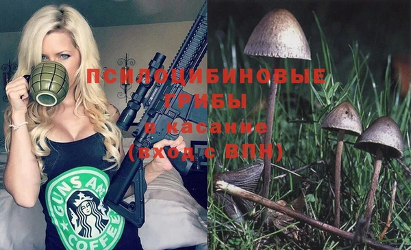 спиды Арсеньев