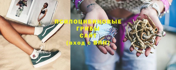 гидропоника Приозерск