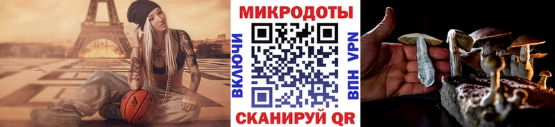купить наркоту  Кубинка  Псилоцибиновые грибы Psilocybine cubensis 