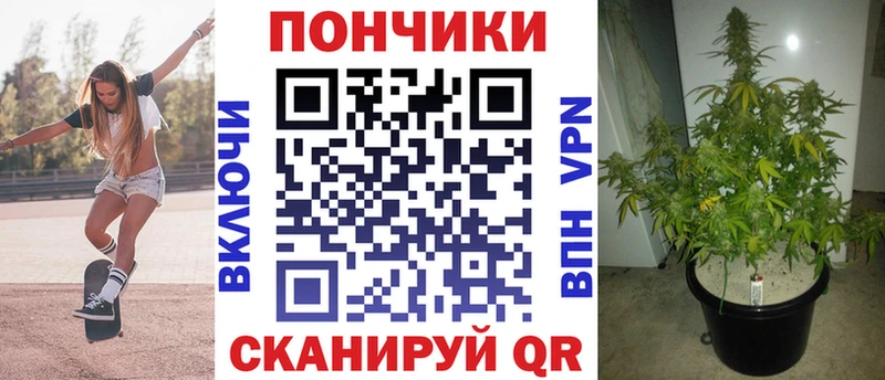 наркошоп Кубинка Бошки Шишки сатива